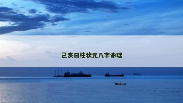 己亥日柱状元八字命理