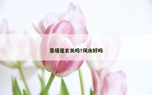 靠墙是玄关吗?风水好吗