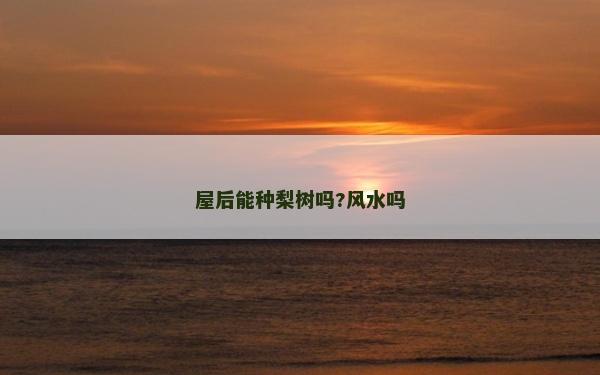 屋后能种梨树吗?风水吗