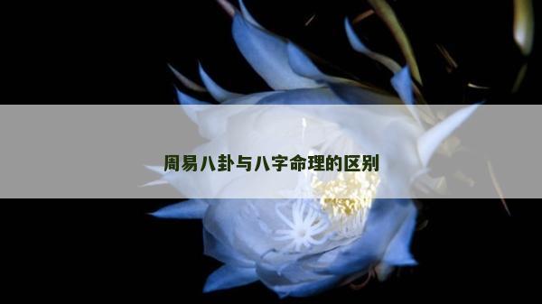 周易八卦与八字命理的区别