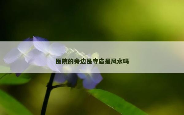 医院的旁边是寺庙是风水吗