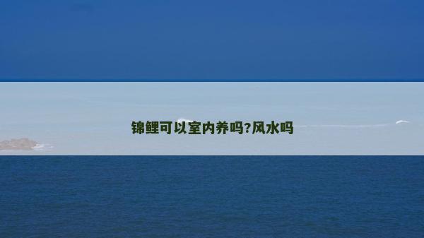 锦鲤可以室内养吗?风水吗