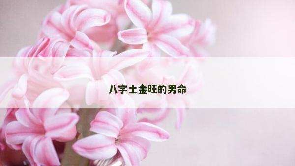 八字土金旺的男命