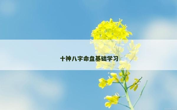 十神八字命盘基础学习