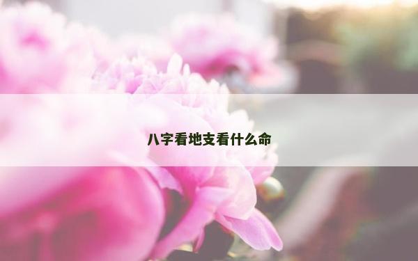 八字看地支看什么命