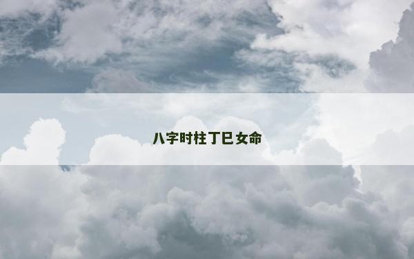 八字时柱丁巳女命