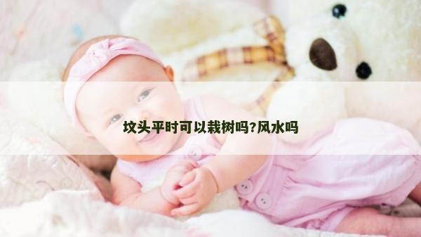 坟头平时可以栽树吗?风水吗