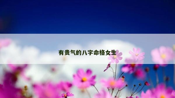 有贵气的八字命格女生