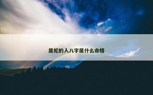 属蛇的人八字属什么命格