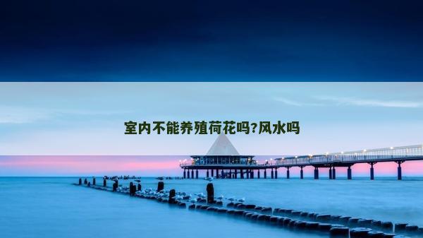 室内不能养殖荷花吗?风水吗