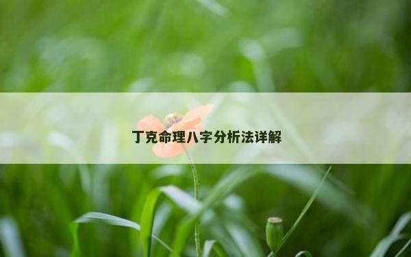 丁克命理八字分析法详解