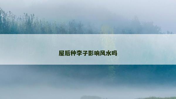 屋后种李子影响风水吗