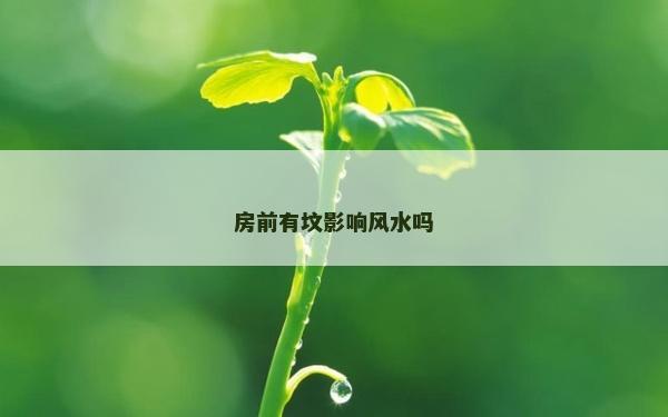 房前有坟影响风水吗