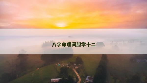 八字命理间胆学十二