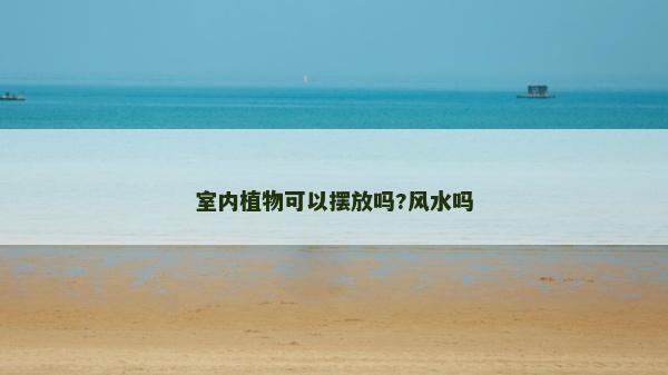 室内植物可以摆放吗?风水吗