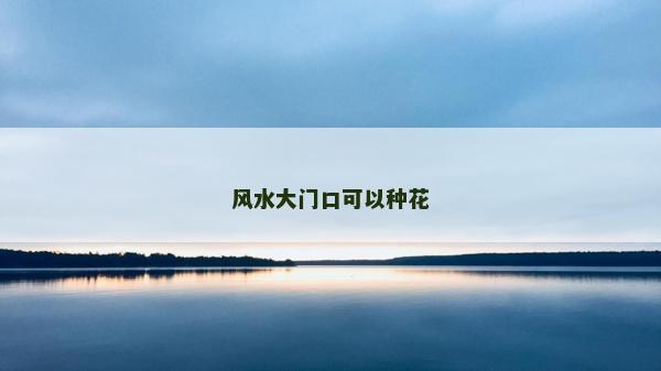 风水大门口可以种花