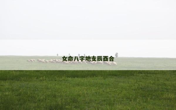 女命八字地支辰酉合