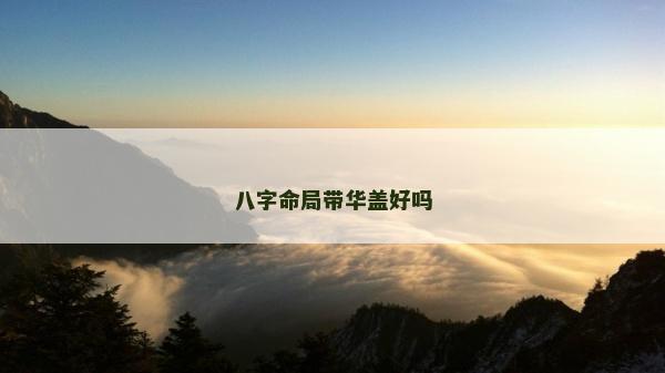八字命局带华盖好吗