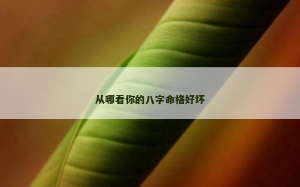 从哪看你的八字命格好坏