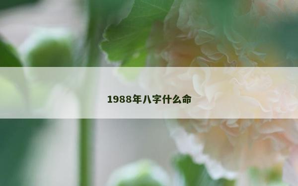 1988年八字什么命