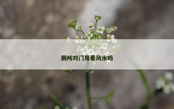 厕所对门用看风水吗