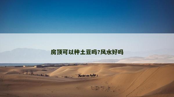 房顶可以种土豆吗?风水好吗