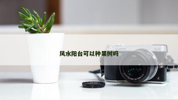 风水阳台可以种果树吗