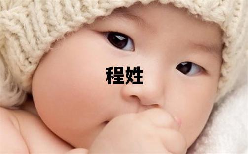 程姓有灵气的男宝宝名字