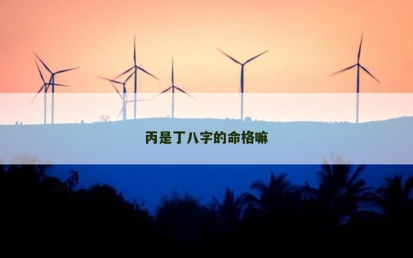 丙是丁八字的命格嘛