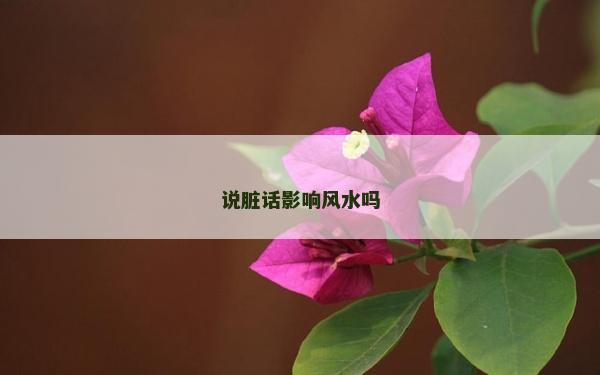 说脏话影响风水吗