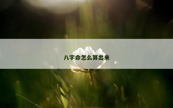 八字命怎么算出来