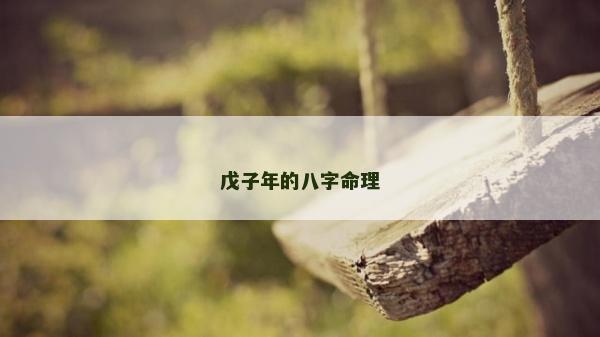 戊子年的八字命理