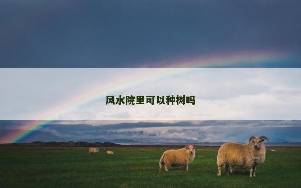 风水院里可以种树吗