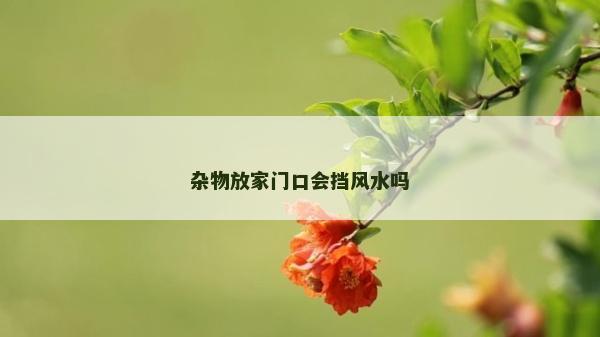 杂物放家门口会挡风水吗