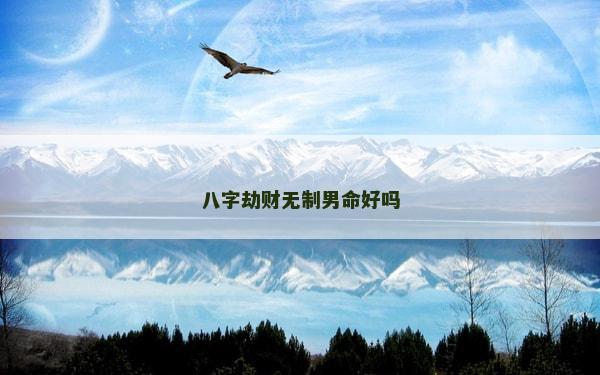 八字劫财无制男命好吗