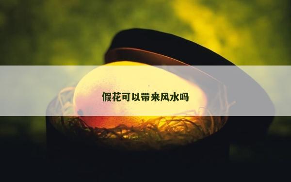 假花可以带来风水吗