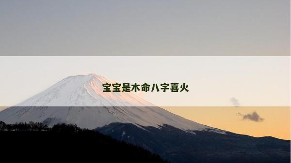 宝宝是木命八字喜火