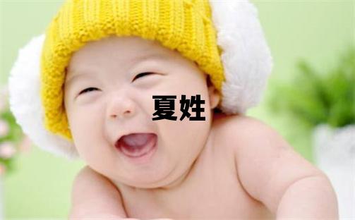 夏姓冷门独特的男孩名字,取什么名字好