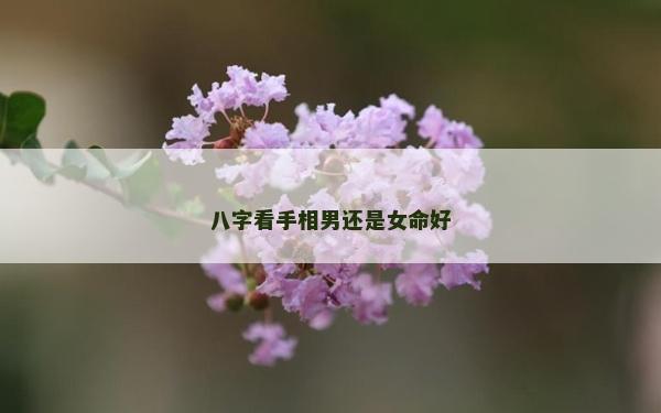 八字看手相男还是女命好