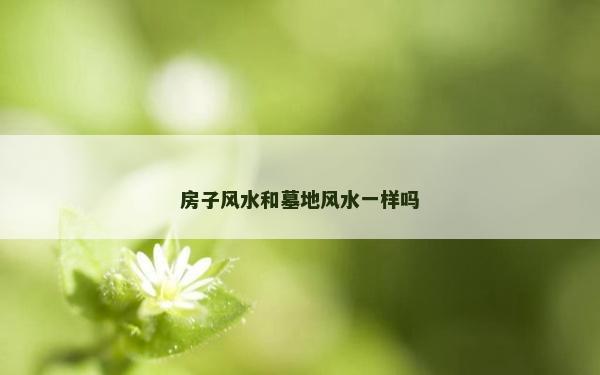 房子风水和墓地风水一样吗