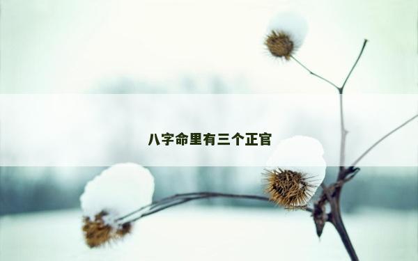 八字命里有三个正官