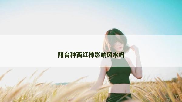 阳台种西红柿影响风水吗
