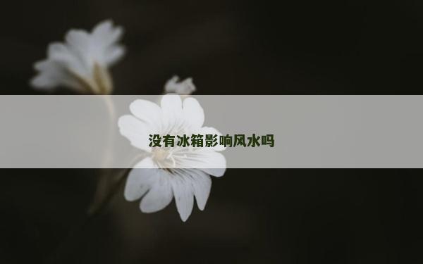 没有冰箱影响风水吗