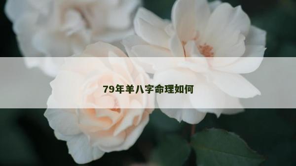 79年羊八字命理如何