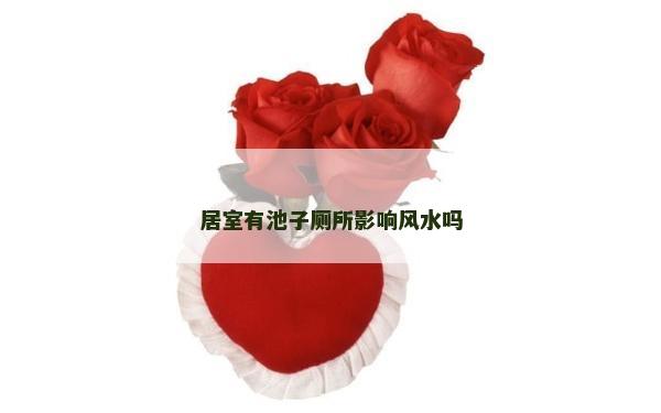 居室有池子厕所影响风水吗