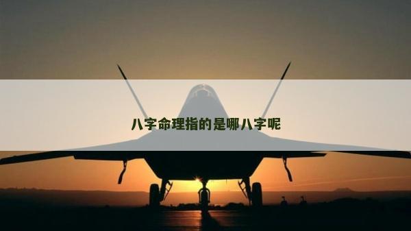 八字命理指的是哪八字呢