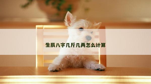 生辰八字几斤几两怎么计算