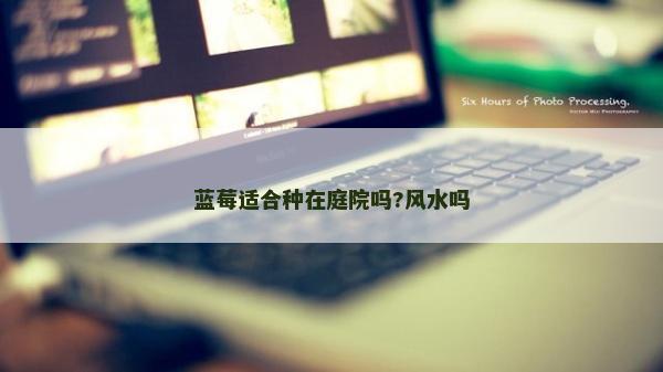 蓝莓适合种在庭院吗?风水吗