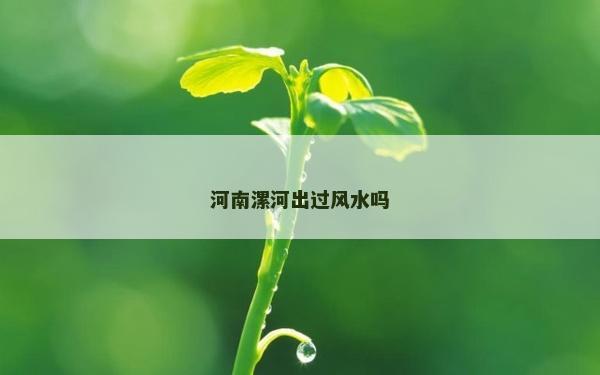 河南漯河出过风水吗