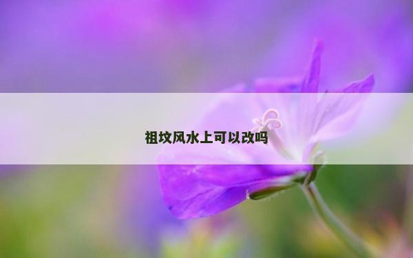 祖坟风水上可以改吗
